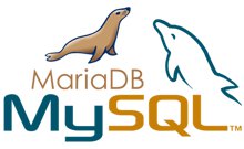 MySQL四种存储引擎(InnoDB、MyISAM、MEMORY、Archive)介绍和对比
