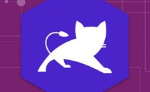 nginx简单的反向代理tomcat